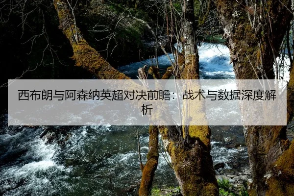 西布朗与阿森纳英超对决前瞻：战术与数据深度解析